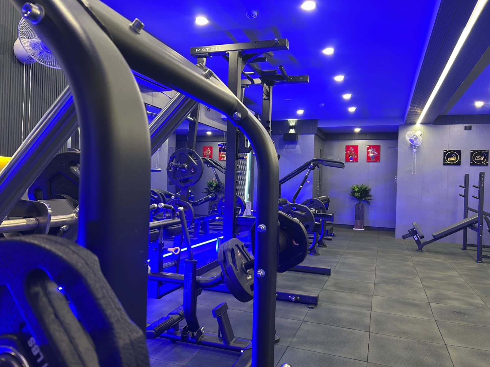 Aura Athletic Images